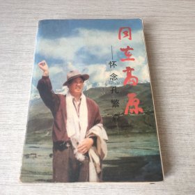 同在高原:怀念孔繁森