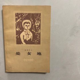 处女地（6架）