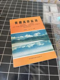 青藏高原盐湖 一版一印【郑绵平 签名】