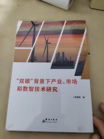 雙碳背景下產(chǎn)業(yè)市場和數(shù)智技術(shù)研究
