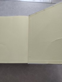 妇产科学进展 华润会议20年经典第二卷(上册)