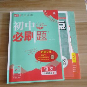 理想树2020版初中必刷题语文九年级上册RJ人教版配狂K重点