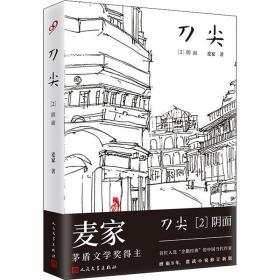 刀尖 2 阴面 历史、军事小说 麦家