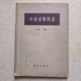 中国动物图谱（兽类）（1964年一版一印）
