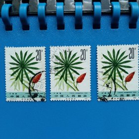 邮票.T72（6-5）（每枚1.5元）