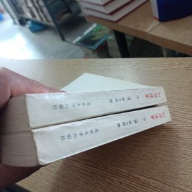 红楼后梦【上下】（自然旧，2处笔记划线，书口轻微破损）——bb3