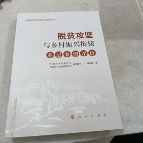 脱贫攻坚与乡村振兴衔接：基层案例评析（脱贫攻坚与乡村振兴衔接研究丛书）