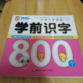 学前识字800个名校小学入学考试准备儿童学前语文教材幼小衔接3-6岁幼儿园大班升学一年级教材