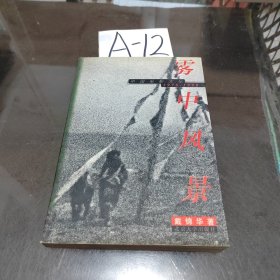 雾中风景：中国电影文化1978-1998