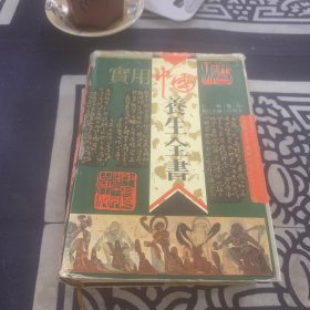 实用中国养生全书