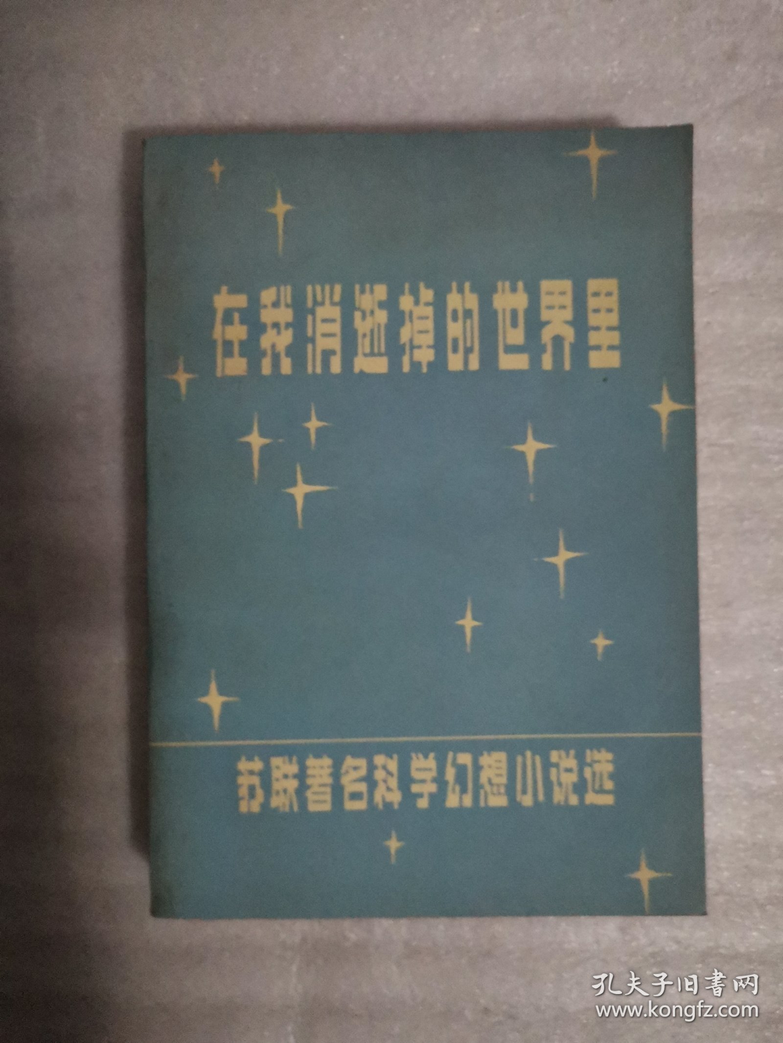 在我消逝掉的世界里