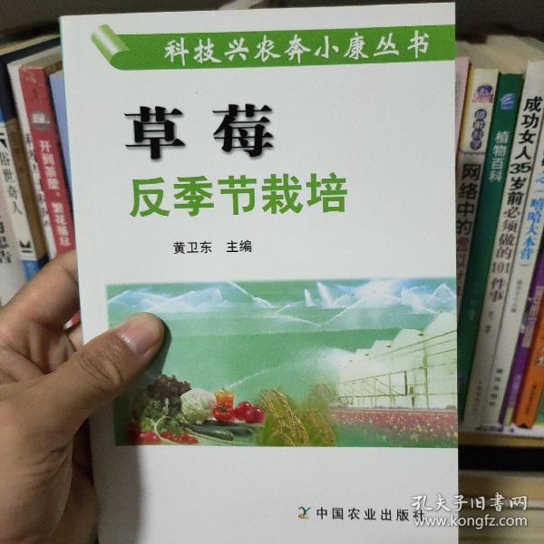 草莓反季节栽培——科技兴农奔小康丛书