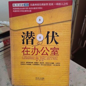 潜伏在办公室：职场版《潜伏》