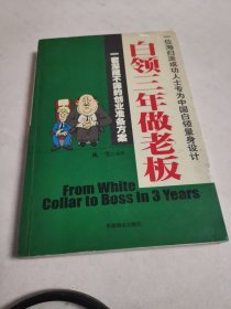 白领三年做老板:一套深藏不露的创业准备方案:一位海归派成功人士专为中国白领量身设计