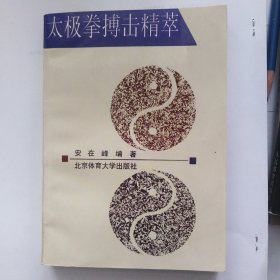 太极拳搏击精萃