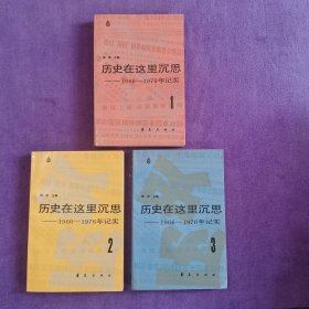 历史在这里沉思1966~1976年纪实 （全三卷）