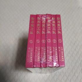 敌后武工队( 6册)
