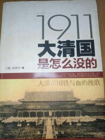 1911：大清国是怎么没的