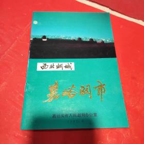 西北钢城 嘉峪关市 老图册 老资料