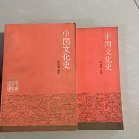 （中国文化史）中国学术丛书