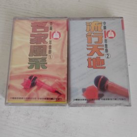 中录10年金曲 名家风采 流行天地 全新未开封正版磁带老卡带一套两盒
