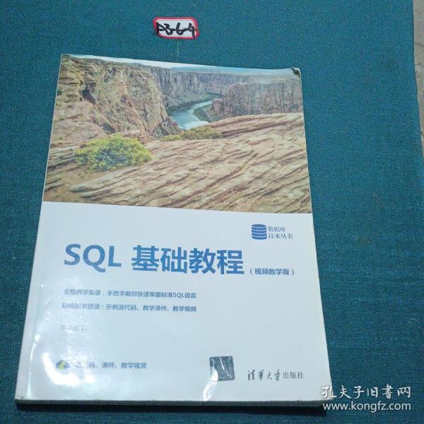 SQL基础教程（视频教学版）（数据库技术丛书）