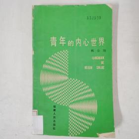 青年的内心世界