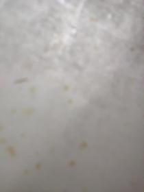 连史纸四尺老拓印纸20张单张价