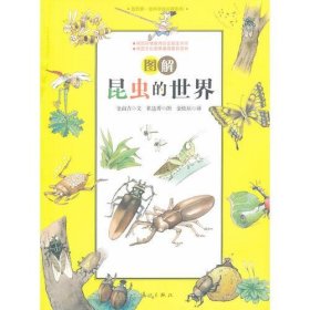 【正版书籍】图解昆虫的世界:我的第一堂科学知识课系列1