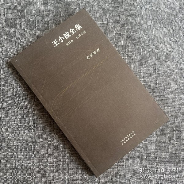 王小波全集：红拂夜奔（第四卷）：王小波全集第四卷 长篇小说