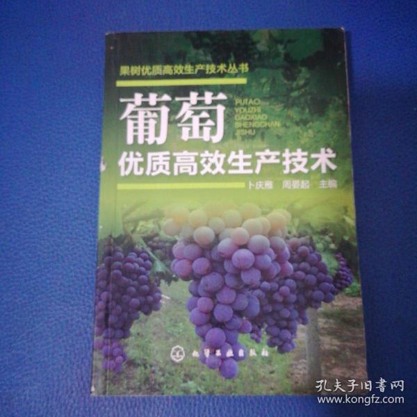 果树优质高效生产技术丛书：葡萄优质高效生产技术