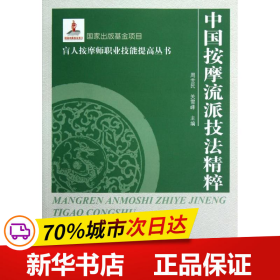 盲人按摩师职业技能提高丛书：中国按摩流派技法精萃（大字本）