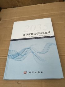 计算流体力学2035愿景