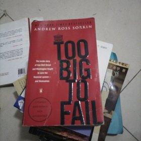 Too Big to Fail：The Inside Story of How Wall Street and Washington Fought to Save the FinancialSystem--and Themselves