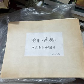 影片《画魂》中国部分外景资料66张