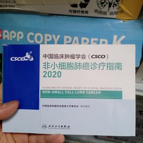 中国临床肿瘤学会（CSCO）非小细胞肺癌诊疗指南2020