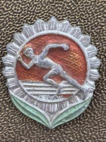 体育锻炼标准证章少年一组徽章
