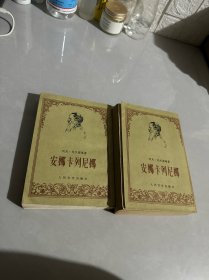 安娜·卡列尼娜 人民文学出版社 上下册