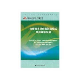 社会资本导向型扶贫模式及其政策应用