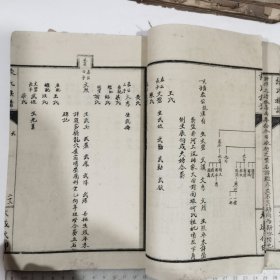 张氏族谱 重修湖广入四川重庆府壁山县。从大宋起始。（1厚册完）家谱