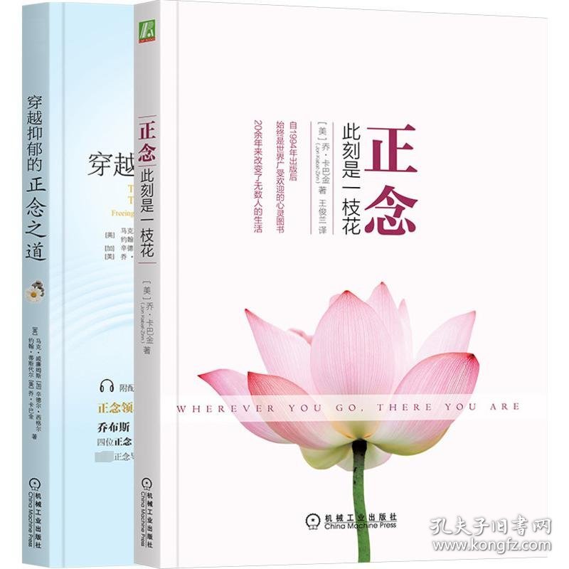 正念大师套装(更新版)(全2册) (美)乔·卡巴金 等 9787111499220 机械工业出版社