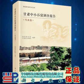 现货 甘肃中小石窟调查报告 天水卷 敦煌研究院学术文库 敦煌研究院甘肃省文物局编著科学出版社9787030726018