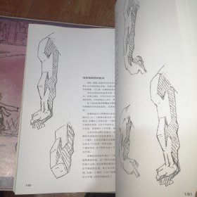 伯里曼人体结构绘画教学（白金版）