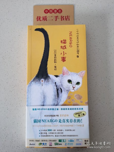 猫城小事