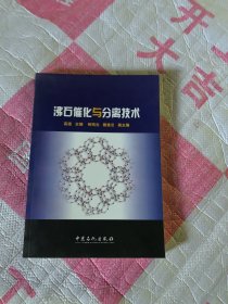 沸石催化与分离技术（2009版）
