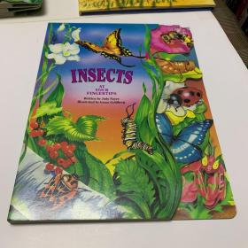 INSECTS AT YOUR FINGERTIPS