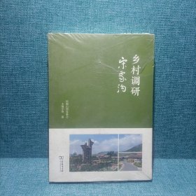 乡村调研：宋家沟