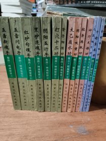 功家秘法宝藏 [共四卷，17本，缺第一卷(3本)，卖的只有卷二(3本)，卷三(4本)，卷四(7本)共计14本合售]