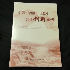 山西“两新”组织党建创新案例