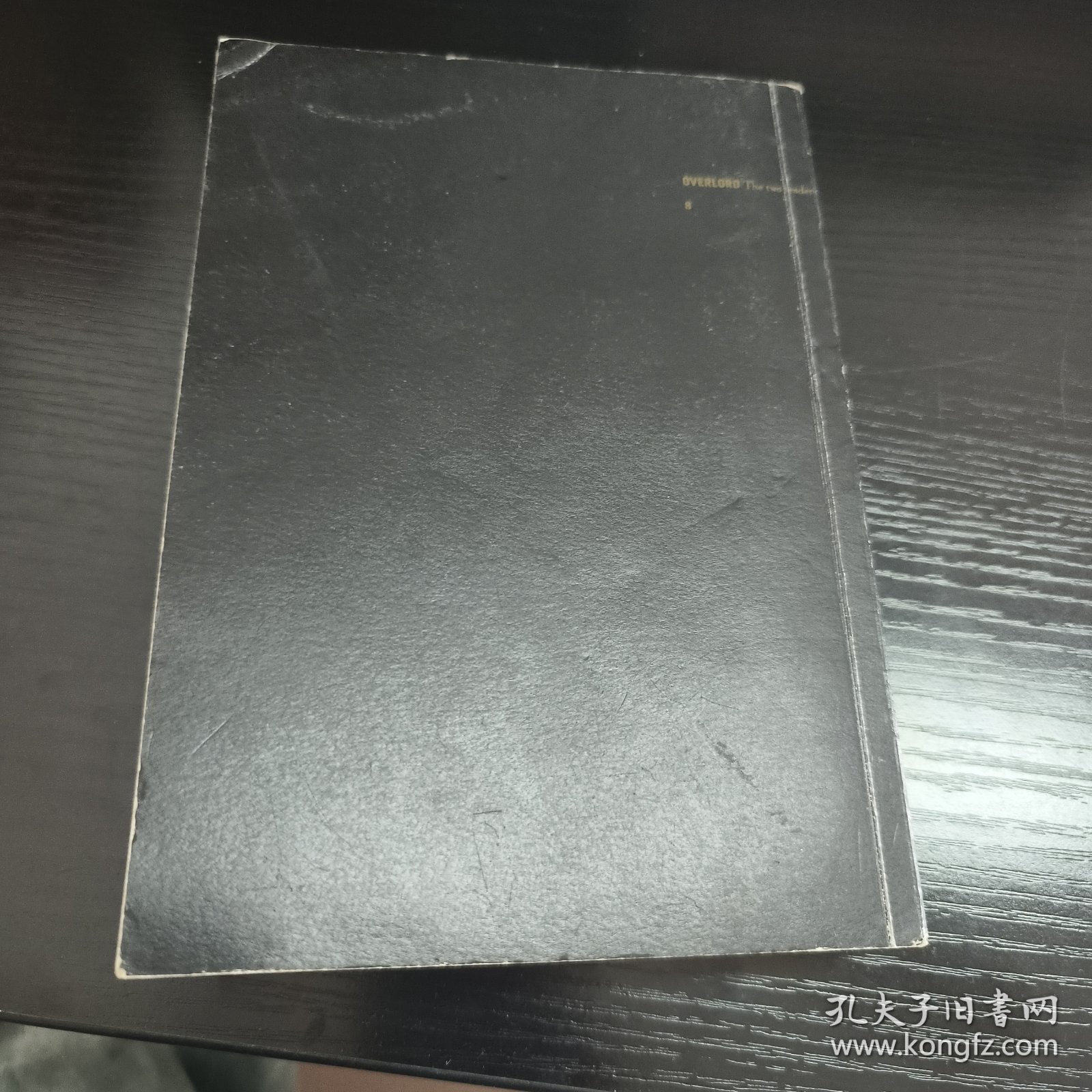 OVERLORD.4大坟墓的入侵者.两位领导者 日丸山黄金 著 刘晨 译